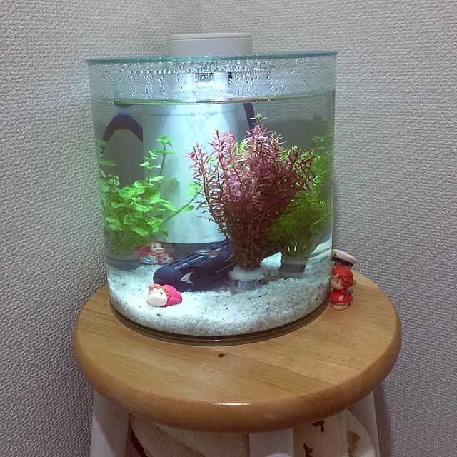 kittさんの実例写真