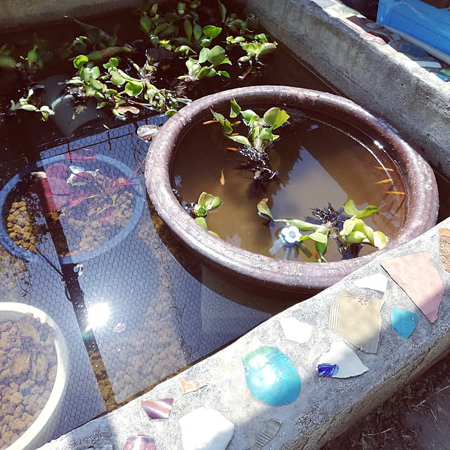 koikoiさんの実例写真
