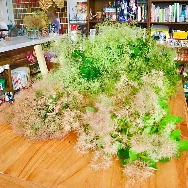rukakoさんの部屋