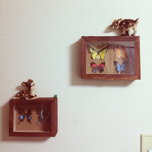nanakoさんの実例写真