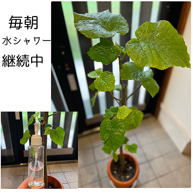 Attaさんの実例写真