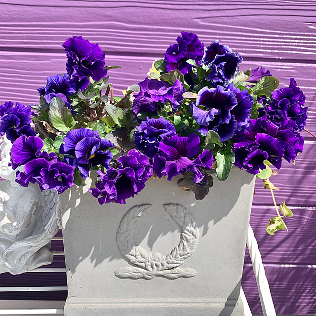 AYUKOさんの実例写真