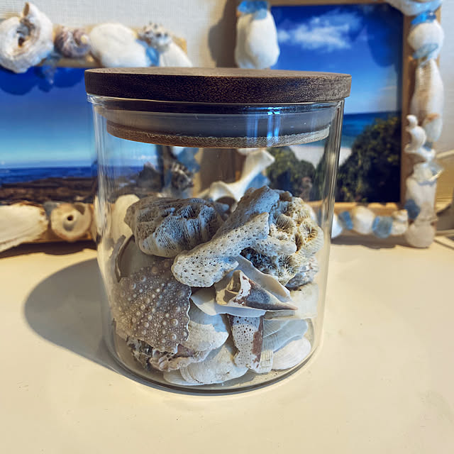 cryptocaryonさんの実例写真