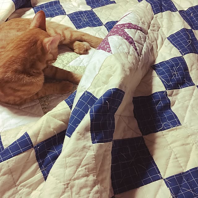 Miさんの実例写真