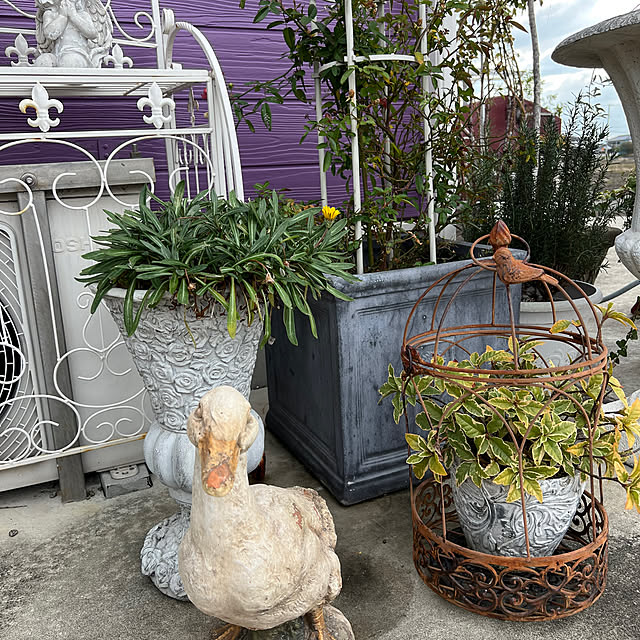 AYUKOさんの部屋