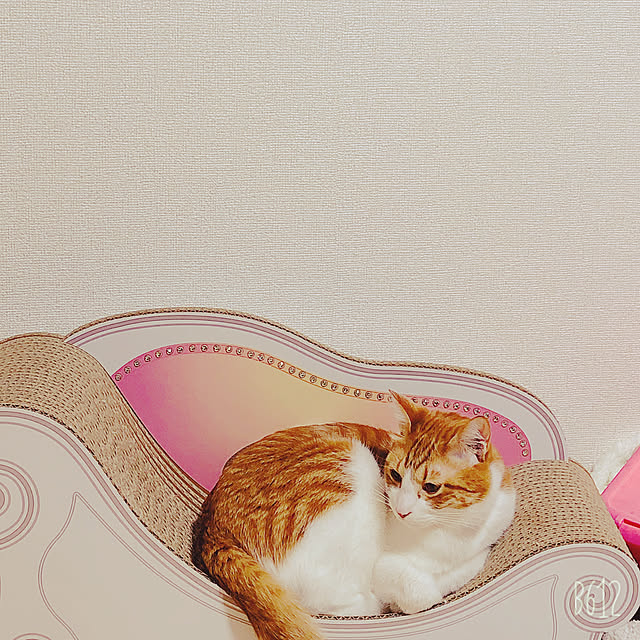 mosuさんの実例写真
