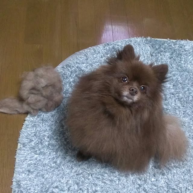 manmaru3さんの実例写真