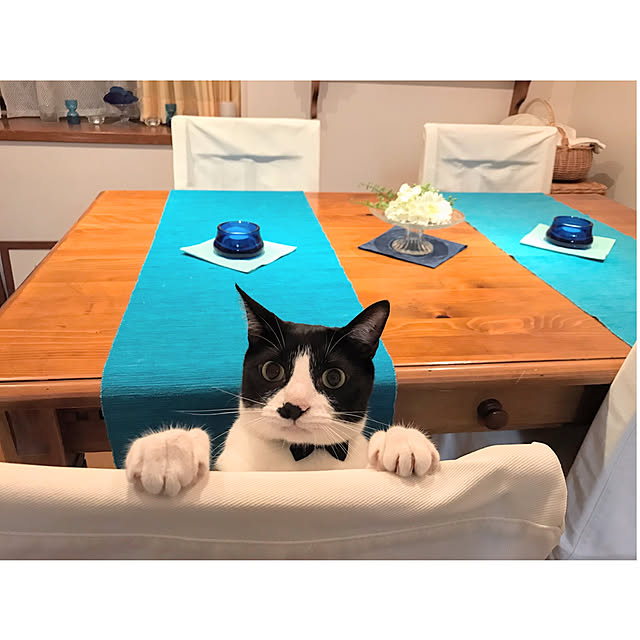 hiyo.pietさんの実例写真