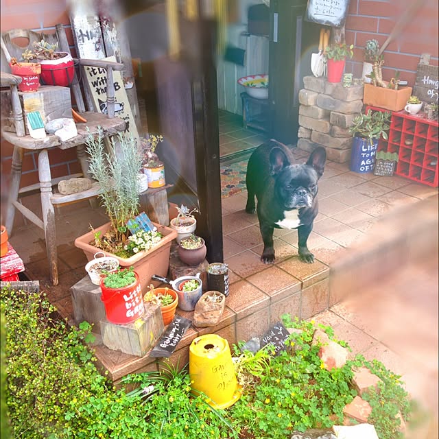 38coreさんの実例写真