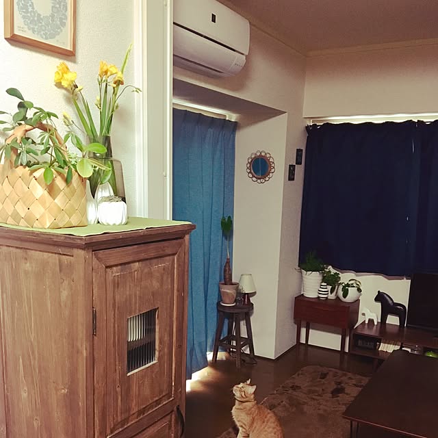 anzyさんの実例写真