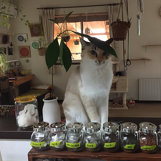 nanaさんの実例写真