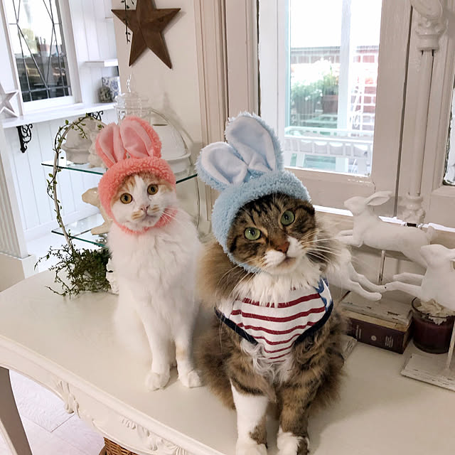 yuchiさんの実例写真