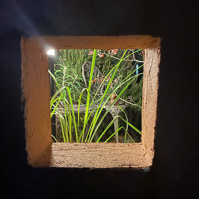 kuikoさんの実例写真
