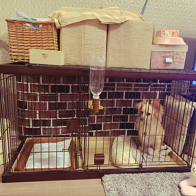 sorapiさんの実例写真