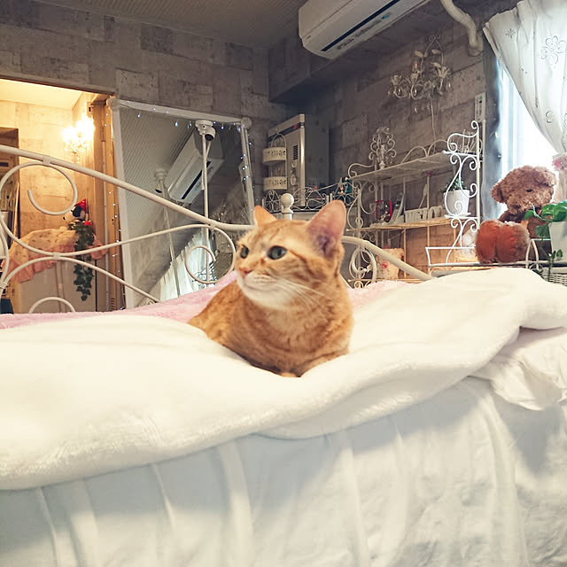 asuminさんの実例写真