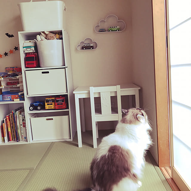 catさんの実例写真