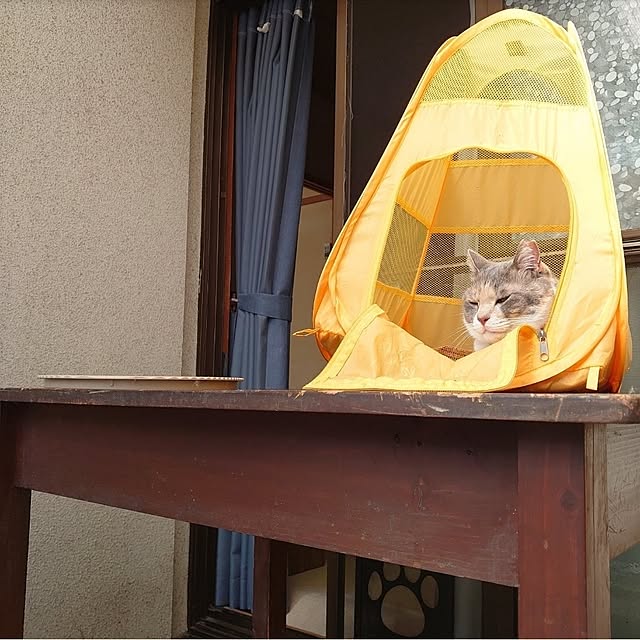 fukuさんの実例写真
