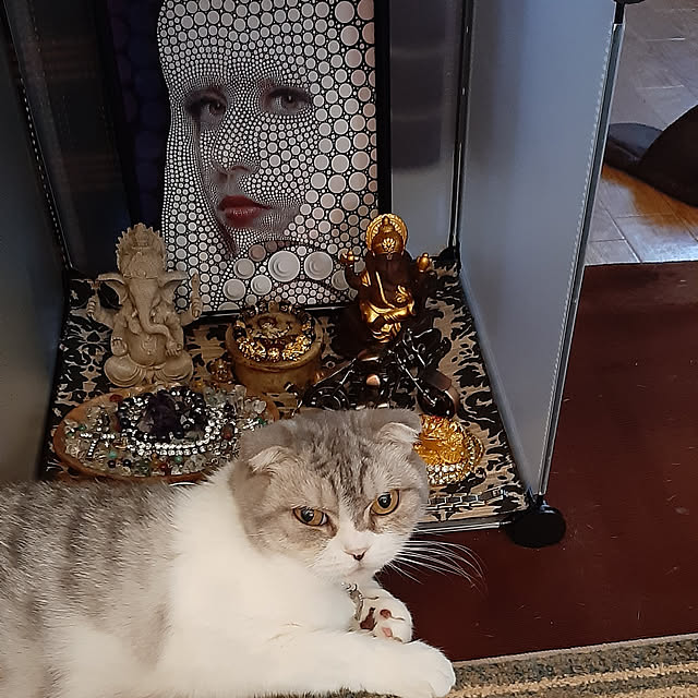 tosi66554さんの実例写真