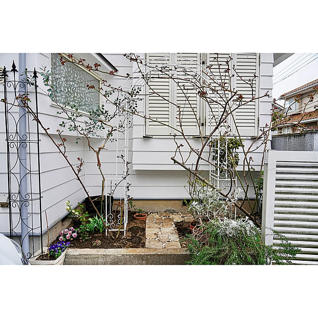 haruisabelさんの実例写真