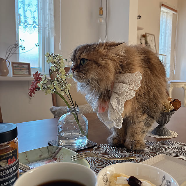 miyu39さんの部屋