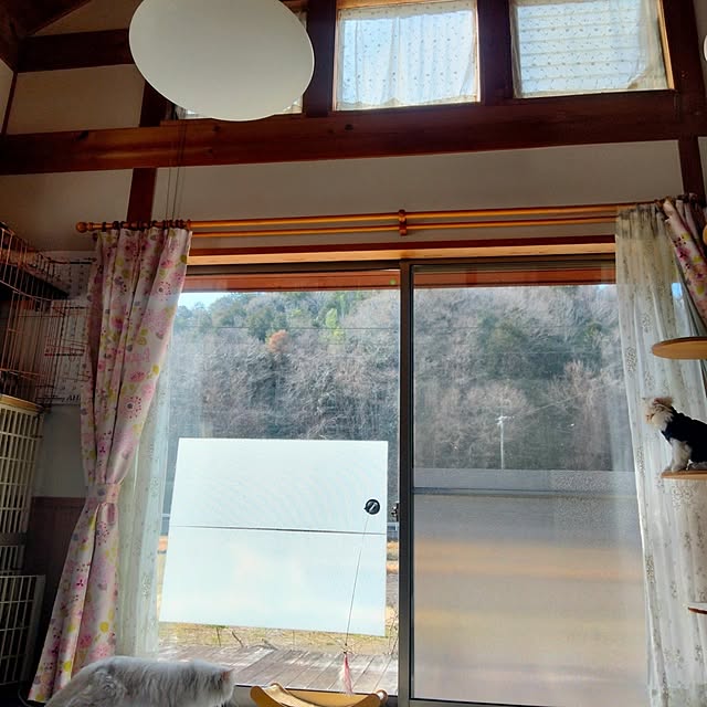 makaronさんの実例写真