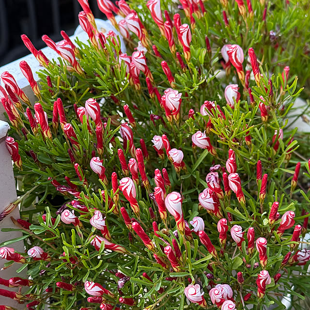 asako.10さんの部屋