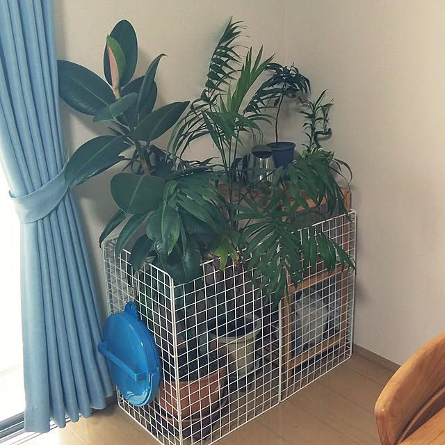 reeさんの実例写真