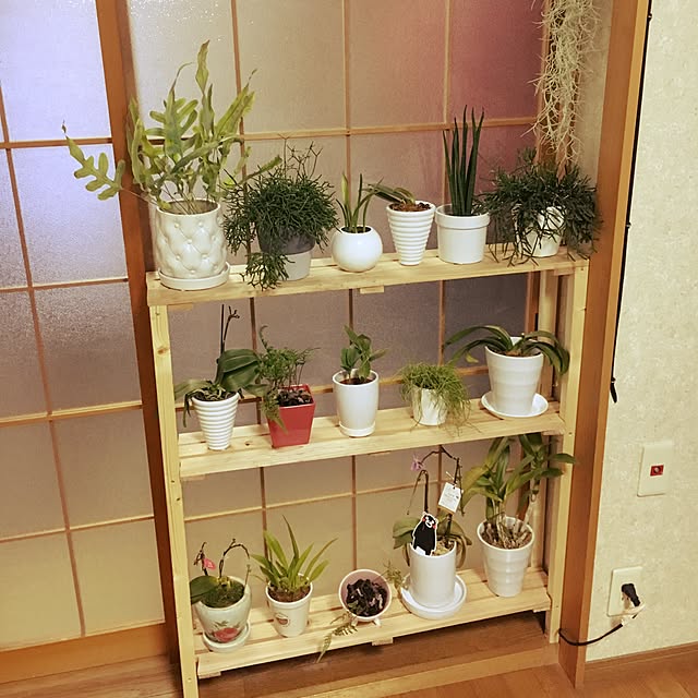 alemaenzaさんの実例写真
