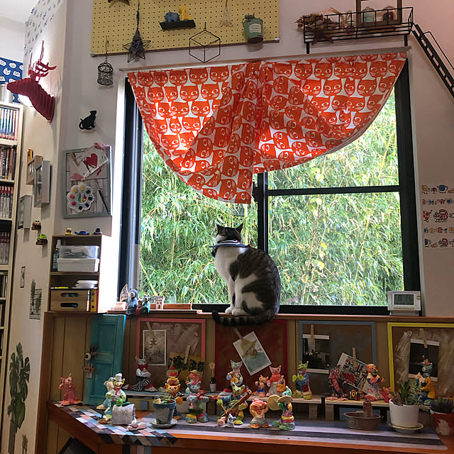 jijiさんの実例写真