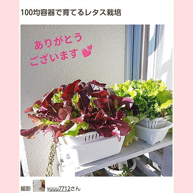 yuuu7712さんの実例写真