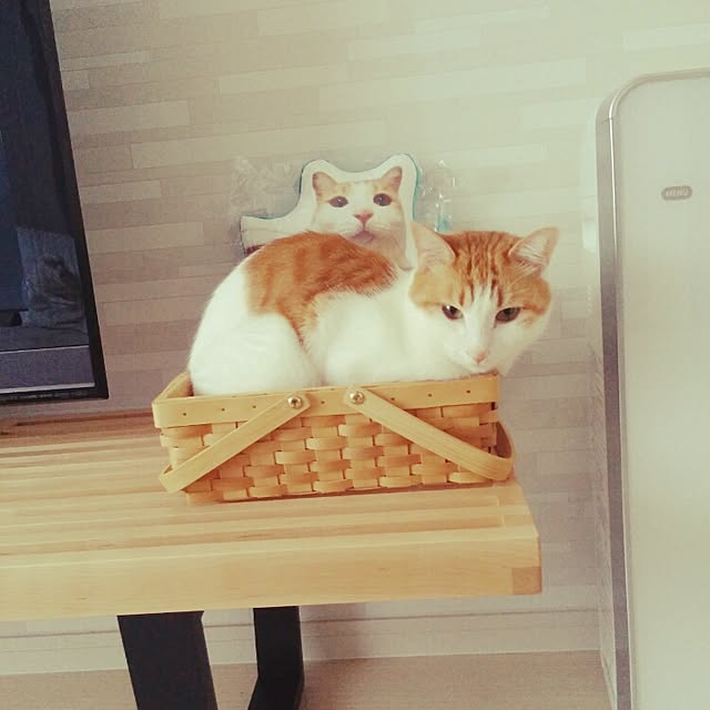 3110さんの実例写真