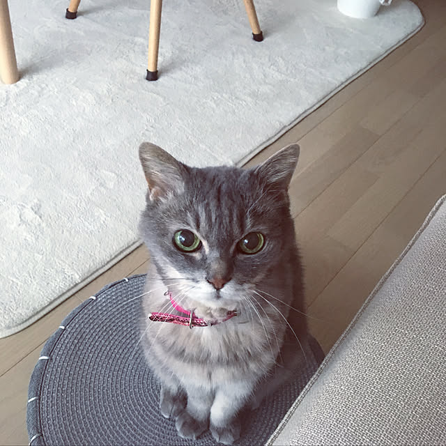 mk_0501さんの実例写真