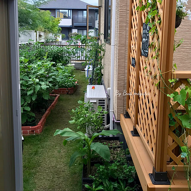 Buaさんの実例写真
