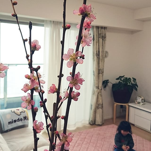 megさんの実例写真