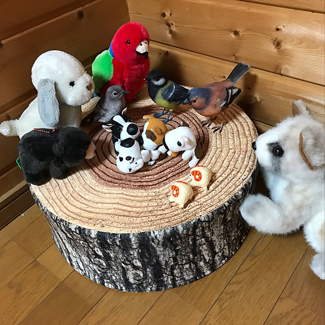 aoinokimiさんの実例写真