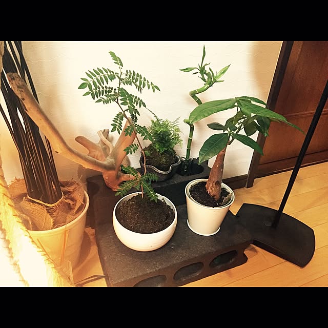 RYOROOMさんの実例写真