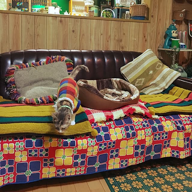 tubacoco88sooさんの実例写真