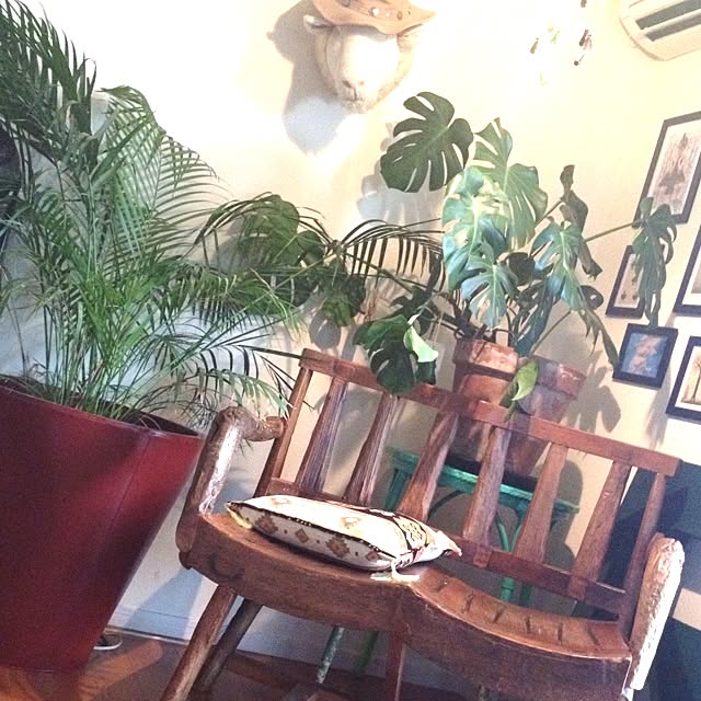 R_mamaさんの実例写真