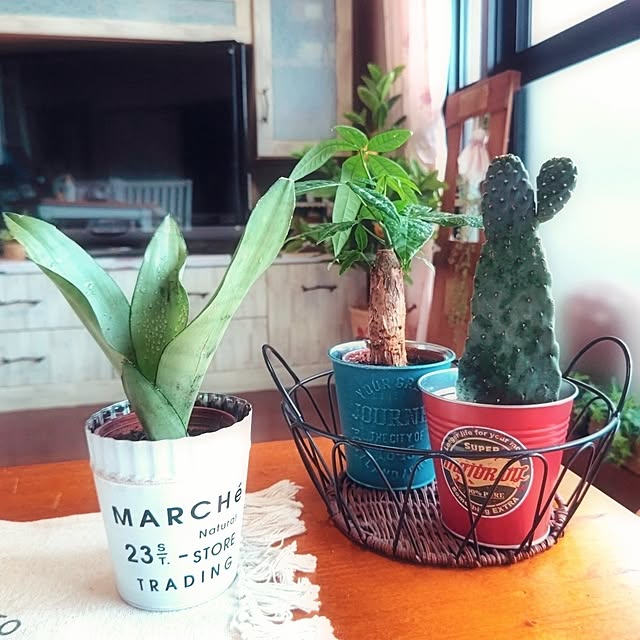 harumoeさんの実例写真