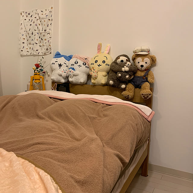 annpuchiさんの実例写真