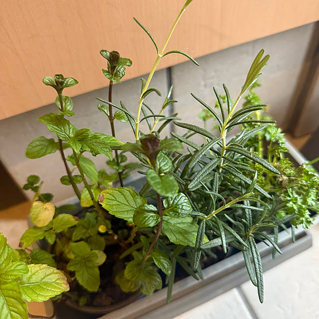 natsuさんの部屋