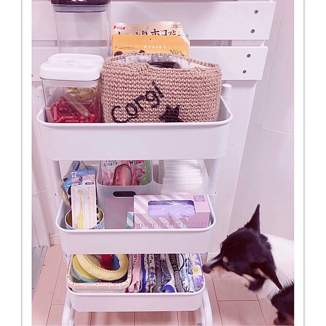 Ruiさんの実例写真