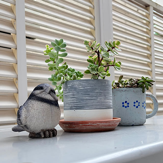 puriyuzuさんの実例写真