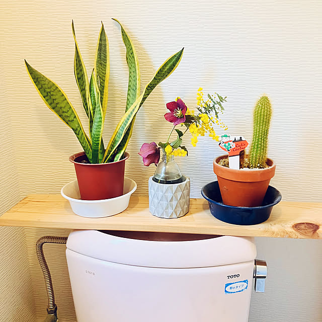 tomorinさんの実例写真
