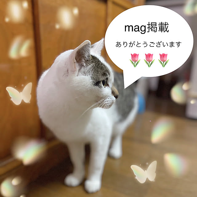 NAMUさんの実例写真