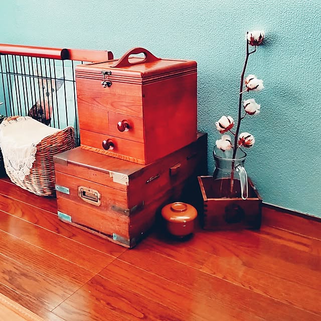 purucogi_yaさんの実例写真