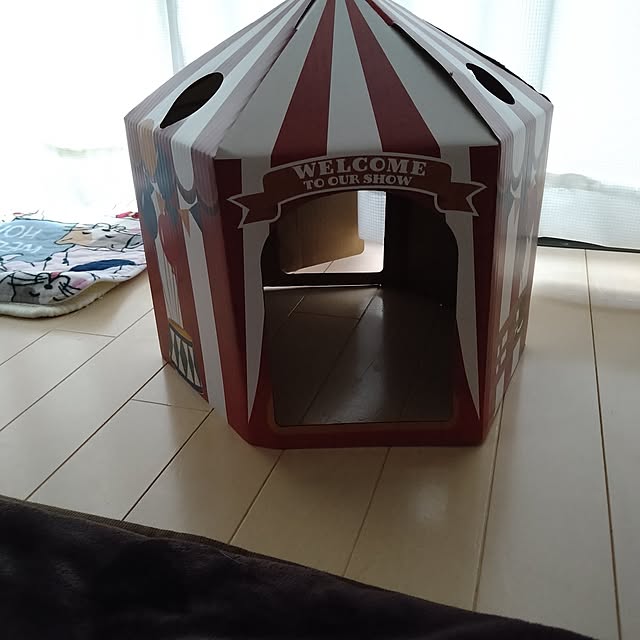 koromaroさんの部屋