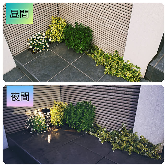 masaさんの実例写真