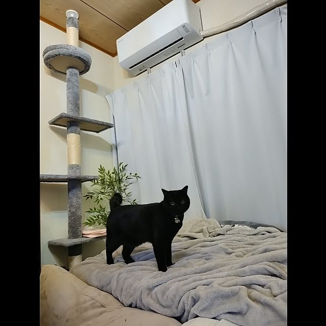 Tさんの実例写真