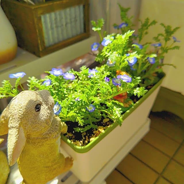 mariaさんの実例写真